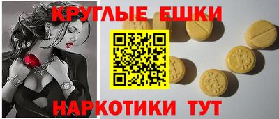 дживик Славгород
