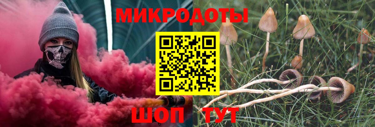 Орёл  Галлюциногенные грибы Cubensis  Вход с VPN 